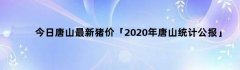 今日唐山最新猪价「2020年唐山统计公报」