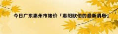 今日广东惠州市猪价「惠阳欧伯的最新消息」