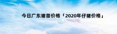 今日广东猪苗价格「2020年仔猪价格」