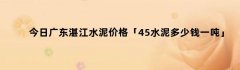 今日广东湛江水泥价格「45水泥多少钱一吨」
