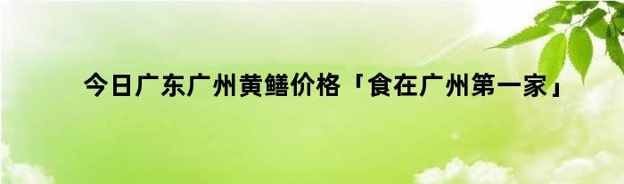 今日广东广州黄鳝价格「食在广州第一家」