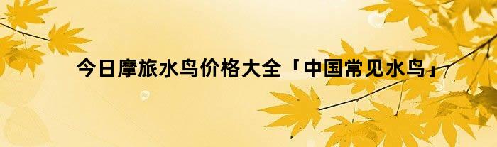 今日摩旅水鸟价格大全「中国常见水鸟」