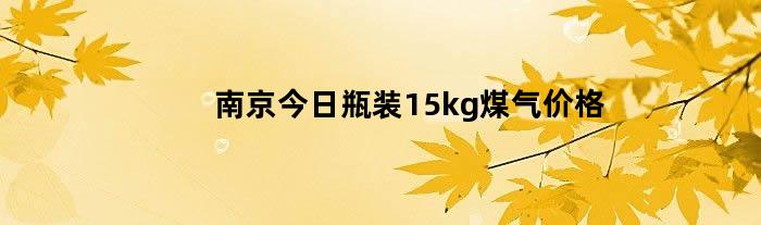 南京今日瓶装15kg煤气价格