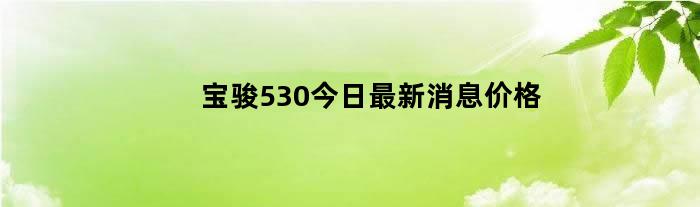 宝骏530今日最新消息价格