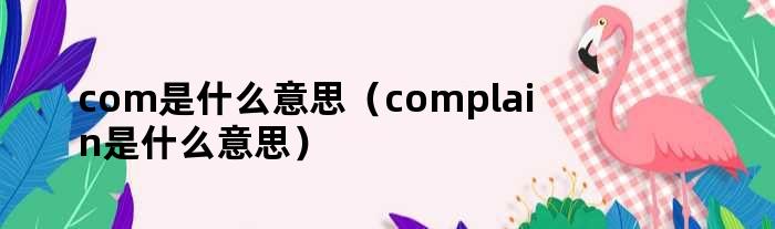 com是什么意思（complain是什么意思）