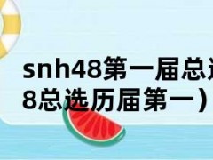 snh48第一届总选举（snh48总选历届第一）