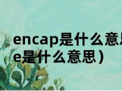 encap是什么意思（encage是什么意思）