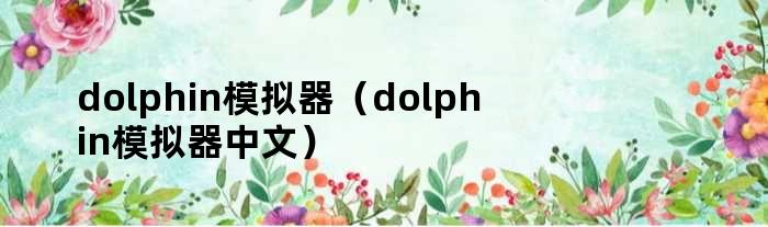 dolphin模拟器（dolphin模拟器中文）