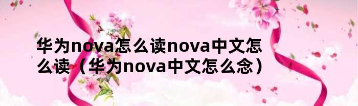 华为nova怎么读nova中文怎么读（华为nova中文怎么念）